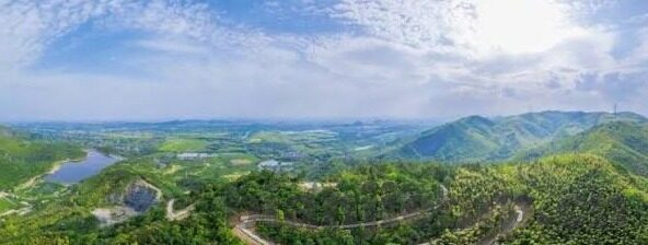 麻豆av官网-麻豆AV官网与网络内容规范探讨