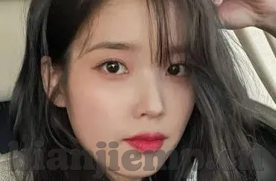 无码人妻精品一区二区三区-无码人妻，网络世界中的灰色地带与道德边界